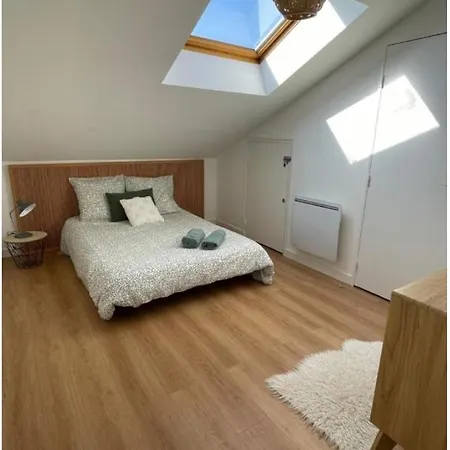 Apartamento Grand Hypercentre Avec Terrasse Et Parking Poitiers